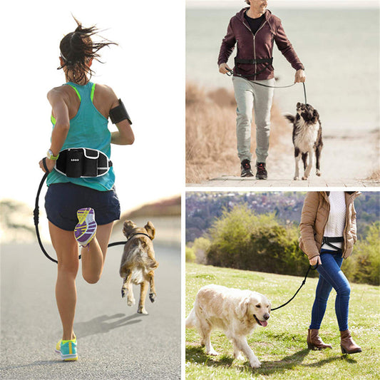 Dog Running Leash & Waist Bag Hands-Free Running