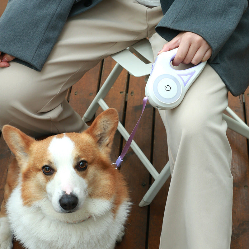 Dog Leash Retractable, Dog Collar Spotlight