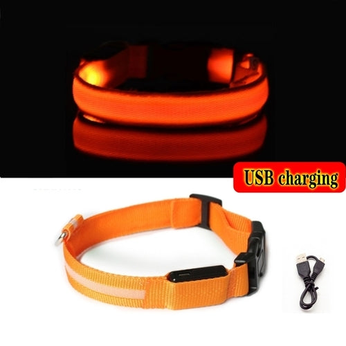 Led Dog Collar