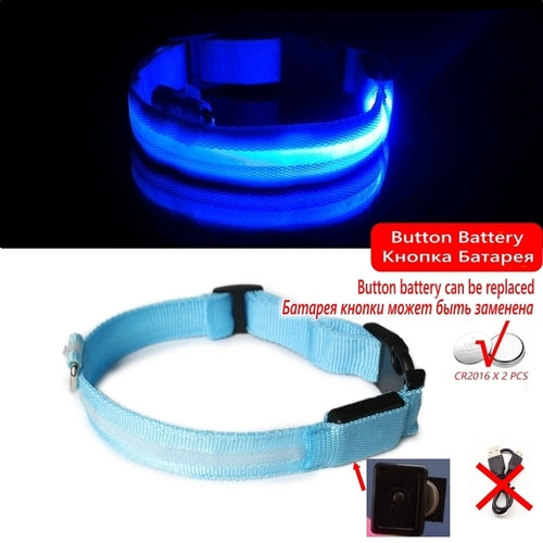 Led Dog Collar