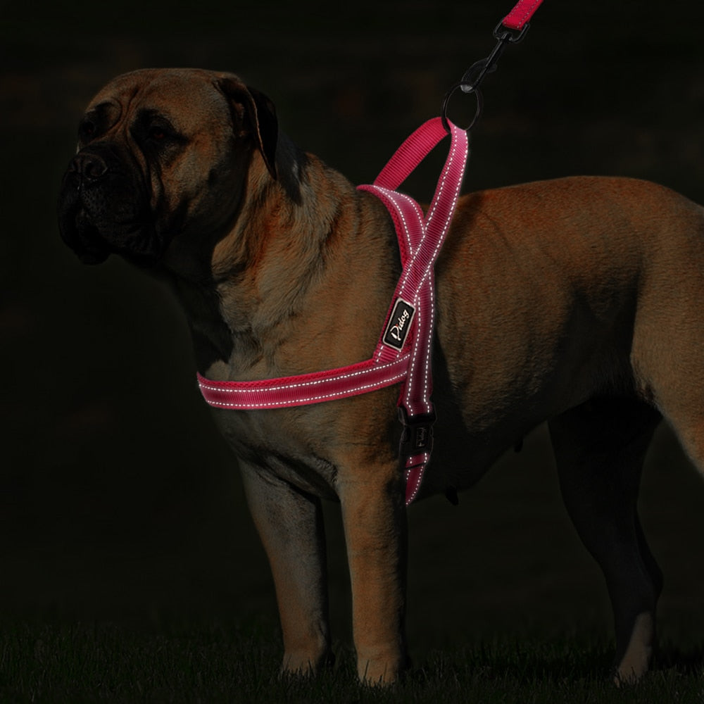 No Pull Reflective Dog Harness Leash Set