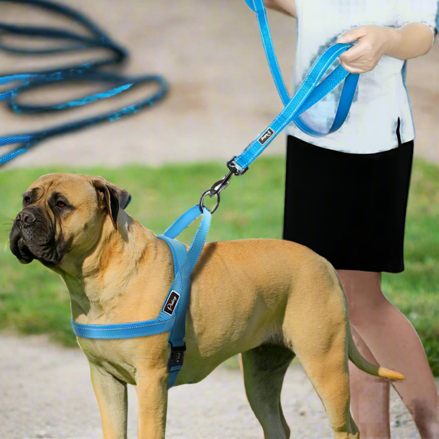 No Pull Reflective Dog Harness Leash Set