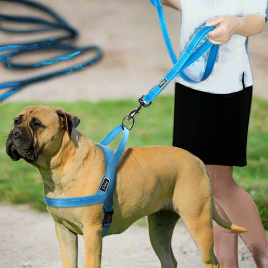 No Pull Reflective Dog Harness Leash Set