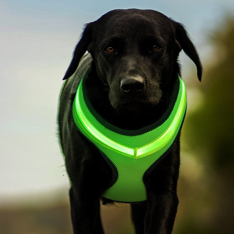 USB Charging LED Dog Chest Strap Vest