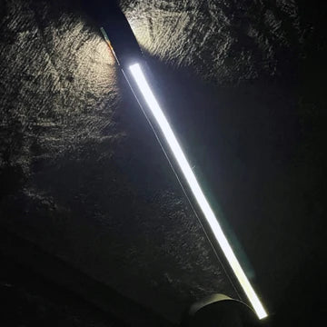 Light Up Walking Leash